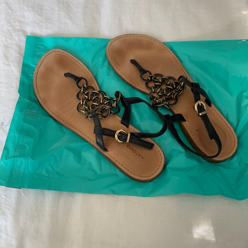 Anotonio Melanie gold and blue shoes